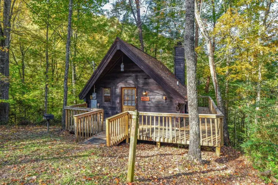 Relax and Unwind at Little Ladybug Resort’s Romantic Honeymoon Cabin
