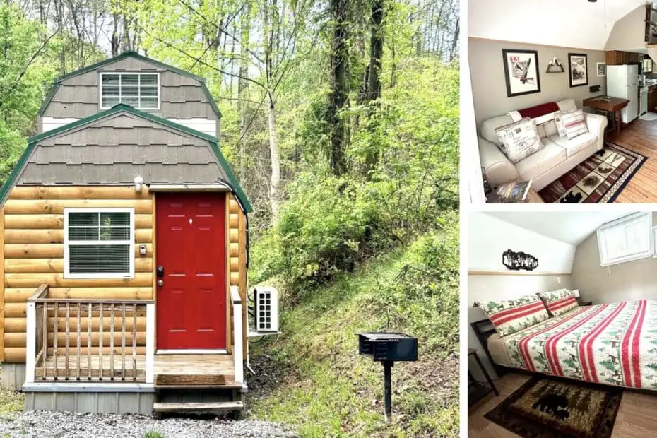 Cozy Cub: An Ideal Retreat Space for Corporate Retreats